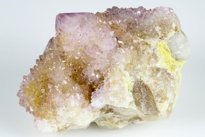 Cactus Quartz (Amethyst) Crystal Cluster- South Africa #183001